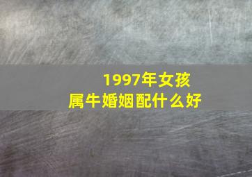 1997年女孩属牛婚姻配什么好