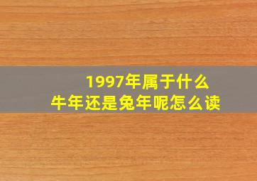 1997年属于什么牛年还是兔年呢怎么读