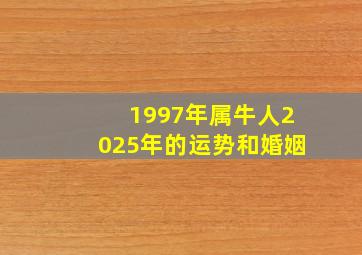 1997年属牛人2025年的运势和婚姻