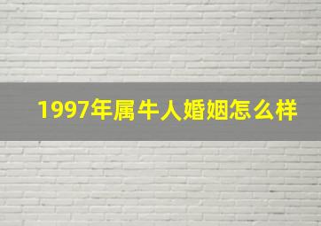 1997年属牛人婚姻怎么样