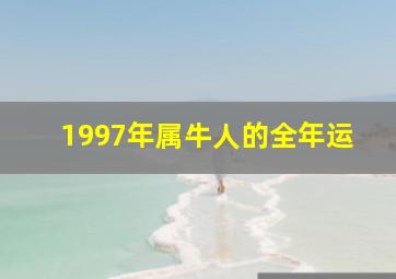 1997年属牛人的全年运