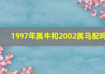 1997年属牛和2002属马配吗