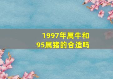 1997年属牛和95属猪的合适吗