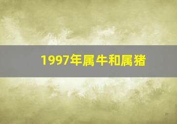 1997年属牛和属猪