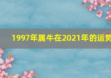 1997年属牛在2021年的运势