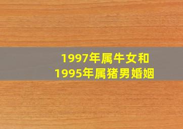 1997年属牛女和1995年属猪男婚姻