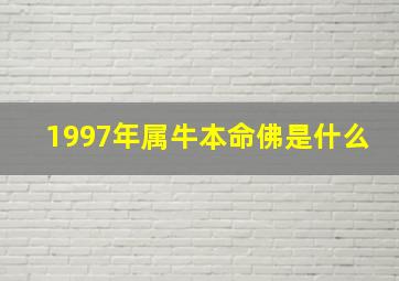 1997年属牛本命佛是什么