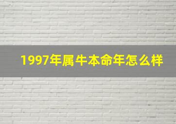 1997年属牛本命年怎么样