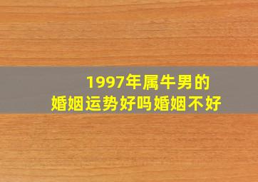 1997年属牛男的婚姻运势好吗婚姻不好