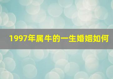 1997年属牛的一生婚姻如何