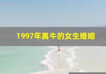 1997年属牛的女生婚姻