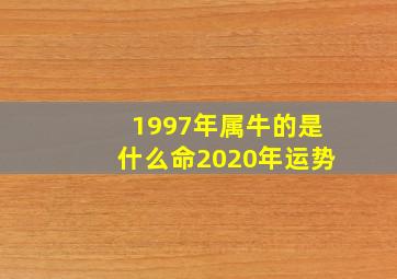 1997年属牛的是什么命2020年运势