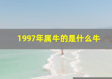 1997年属牛的是什么牛