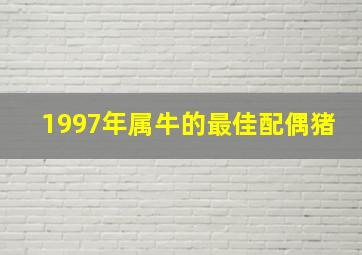 1997年属牛的最佳配偶猪