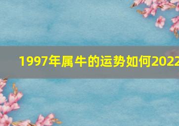 1997年属牛的运势如何2022