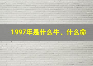 1997年是什么牛、什么命