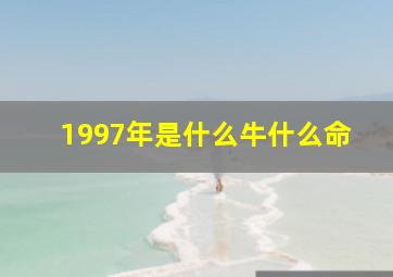 1997年是什么牛什么命