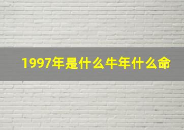 1997年是什么牛年什么命