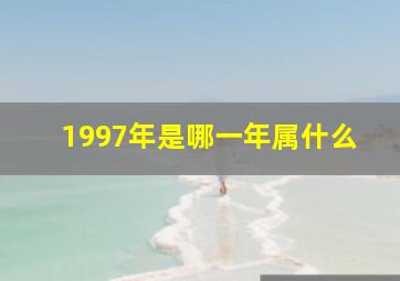 1997年是哪一年属什么