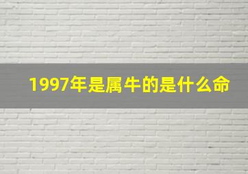 1997年是属牛的是什么命