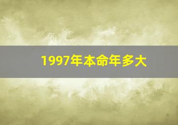 1997年本命年多大