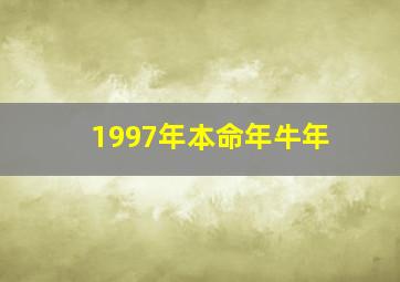 1997年本命年牛年