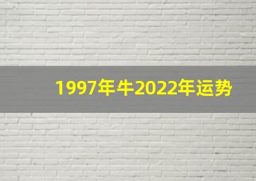 1997年牛2022年运势