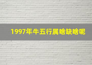 1997年牛五行属啥缺啥呢