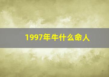 1997年牛什么命人