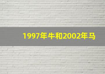 1997年牛和2002年马