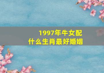 1997年牛女配什么生肖最好婚姻