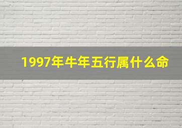 1997年牛年五行属什么命