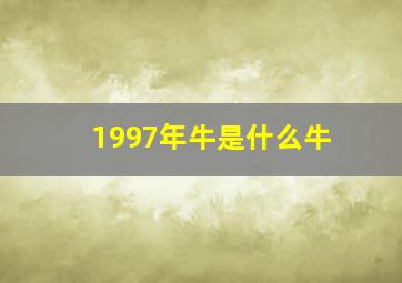 1997年牛是什么牛