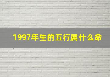 1997年生的五行属什么命