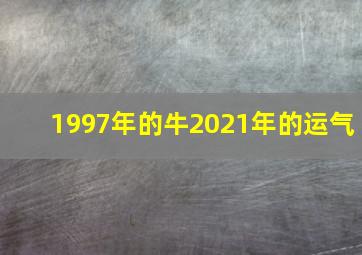 1997年的牛2021年的运气