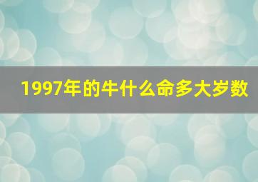 1997年的牛什么命多大岁数