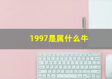 1997是属什么牛