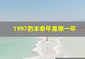 1997的本命年是哪一年