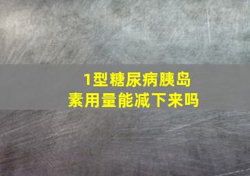 1型糖尿病胰岛素用量能减下来吗