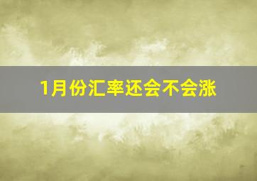 1月份汇率还会不会涨