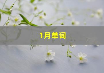 1月单词