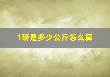 1磅是多少公斤怎么算