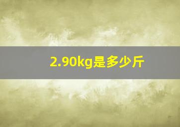 2.90kg是多少斤