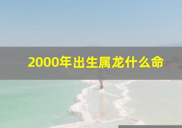 2000年出生属龙什么命