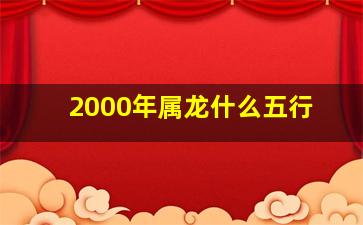 2000年属龙什么五行