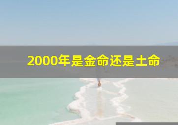 2000年是金命还是土命