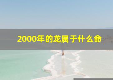 2000年的龙属于什么命