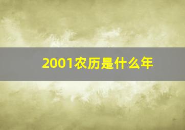 2001农历是什么年