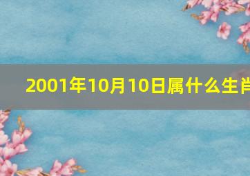 2001年10月10日属什么生肖