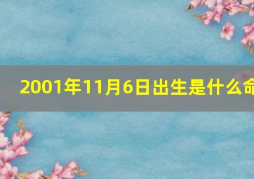 2001年11月6日出生是什么命